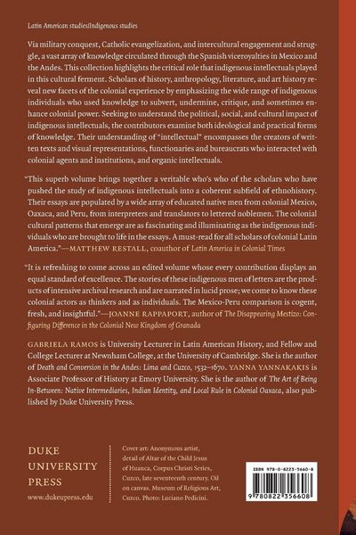 Produktbild: Indigenous Intellectuals