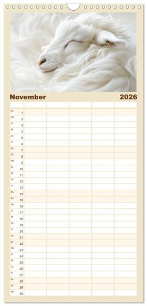 Produktbild: Familienplaner 2026 - Tierische Tr&auml;umer - Sanft ruhend mit 5 Spalten (Wandkalender, 21 x 45 cm) CALVENDO