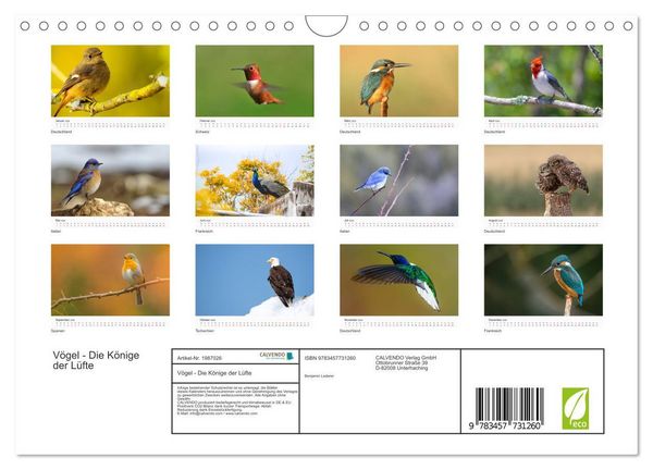 Produktbild: V&ouml;gel - Die K&ouml;nige der L&uuml;fte (Wandkalender 2026 DIN A4 quer), CALVENDO Monatskalender