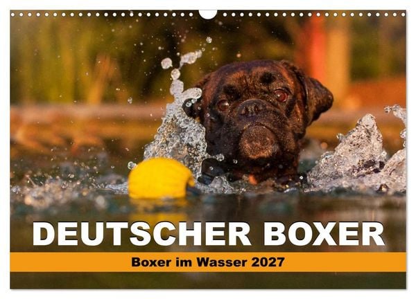 Produktbild: Deutscher Boxer - Boxer im Wasser 2027 (Wandkalender 2027 DIN A3 quer), CALVENDO Monatskalender