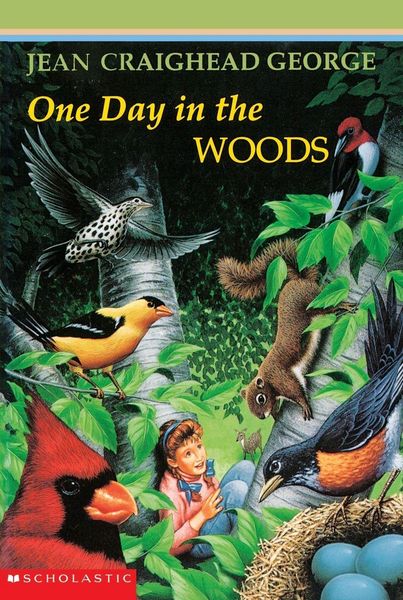Produktbild: One Day in the Woods