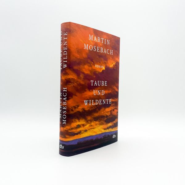Produktbild: Taube und Wildente