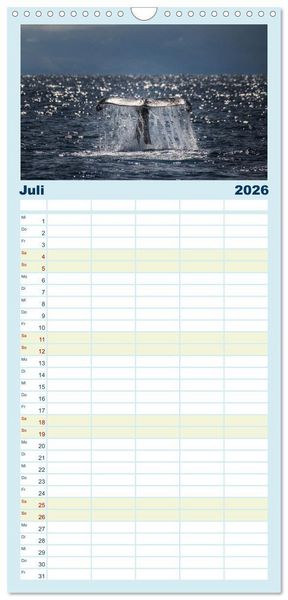 Produktbild: Familienplaner 2026 - Die Wale von Andenes mit 5 Spalten (Wandkalender, 21 x 45 cm) CALVENDO