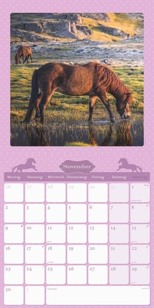 Mein Pferdekalender 2026 - Broschürenkalender 30x30 cm (30x60 geöffnet) - Kalender mit Platz für Notizen - Bildkalender - Wandplaner - Wandkalender