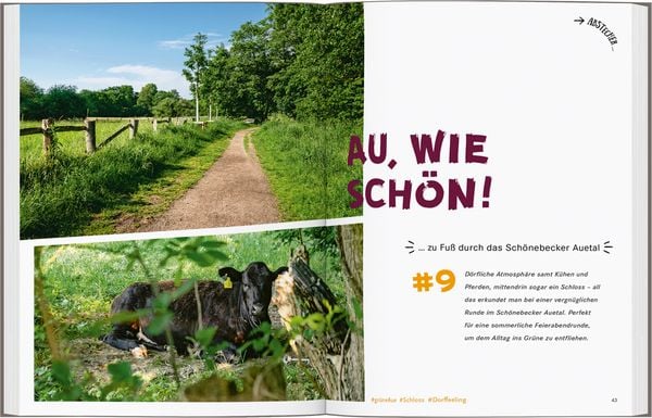Produktbild: 52 kleine & gro&szlig;e Eskapaden in und um Bremen