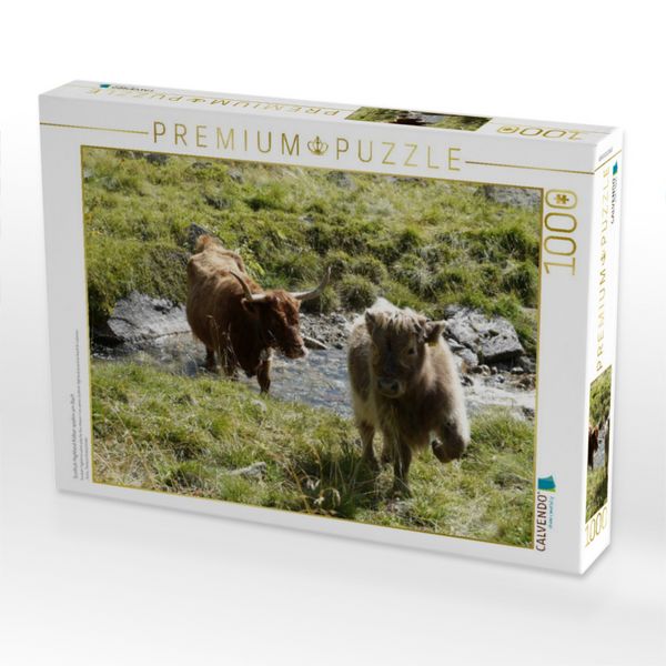 Produktbild: CALVENDO Puzzle Scottish Highland K&auml;lber spielen am Bach | 1000 Teile Lege-Gr&ouml;&szlig;e 64x48cm Foto-Puzzle f&uuml;r gl&uuml;ckliche Stunden