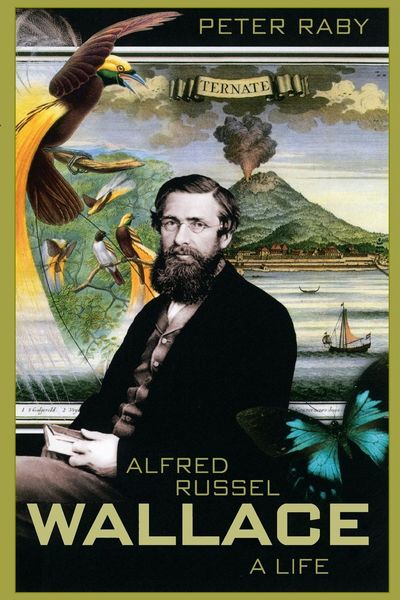Produktbild: Alfred Russel Wallace
