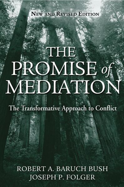 Produktbild: The Promise of Mediation