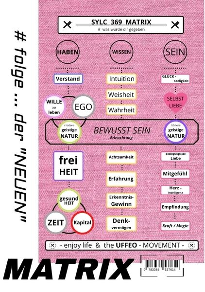 Produktbild: SYLC 369 MATRIX : Der WERTE - Kompass / Version : M / Der Standard
