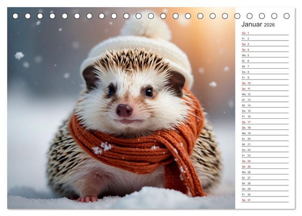 Produktbild: Stachelstars (Tischkalender 2026 DIN A5 quer), CALVENDO Monatskalender