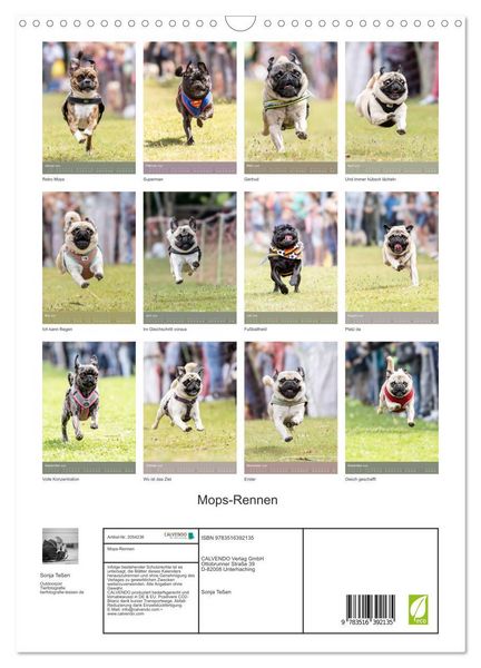 Produktbild: Mops-Rennen (Wandkalender 2026 DIN A3 hoch), CALVENDO Monatskalender