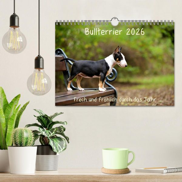 Produktbild: Bullterrier 2026 Frech und fr&ouml;hlich durch das Jahr (Wandkalender 2026 DIN A4 quer), CALVENDO Monatskalender