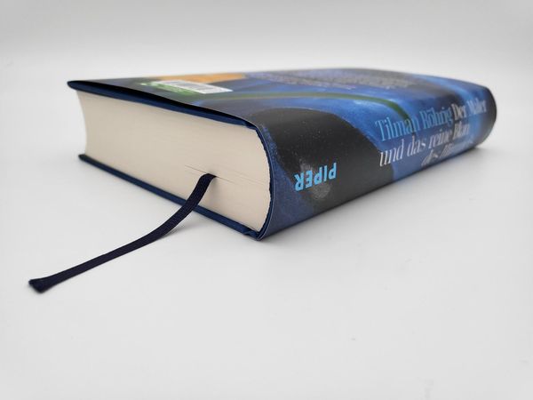 Produktbild: Der Maler und das reine Blau des Himmels
