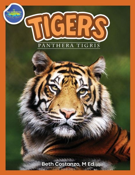 Produktbild: Tigers, Panthera Tigris ages 2-4