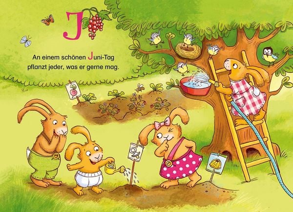 Produktbild: Wenn sieben kleine Hasen durch das ABC rasen