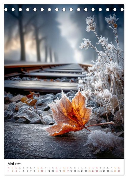 Produktbild: Wintermomente - Natur im wei&szlig;en Kleid (Tischkalender 2026 DIN A5 hoch), CALVENDO Monatskalender