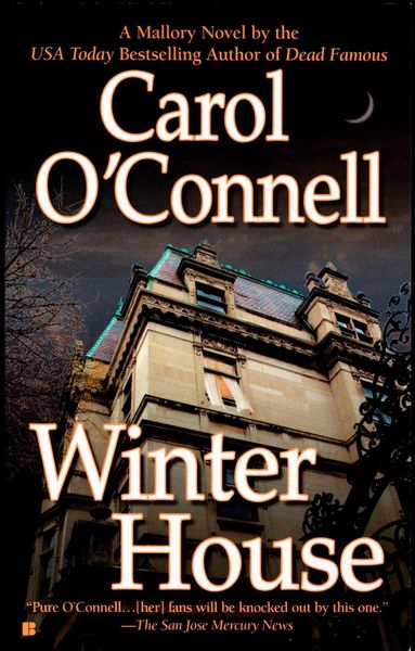 Produktbild: Winter House