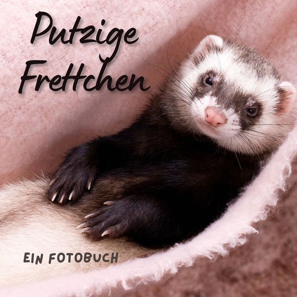 Produktbild: Putzige Frettchen