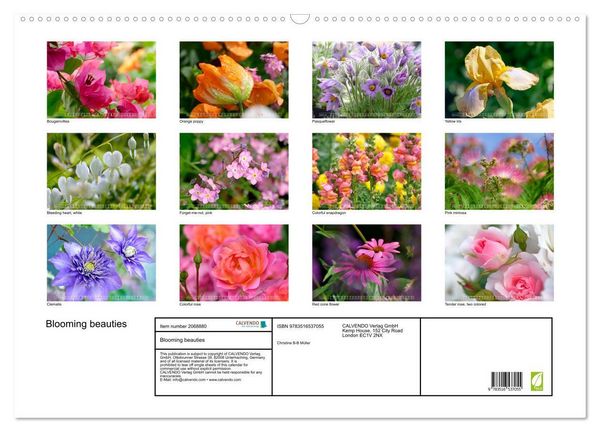 Produktbild: Blooming beauties (Wall Calendar 2026 DIN A2 landscape), CALVENDO 12 Month Wall Calendar