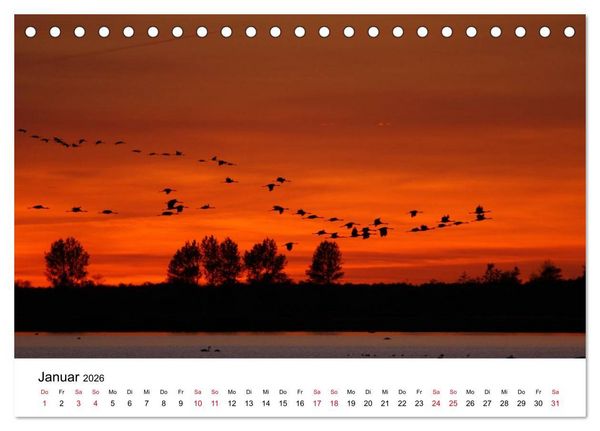 Produktbild: Zug der Kraniche (Tischkalender 2026 DIN A5 quer), CALVENDO Monatskalender