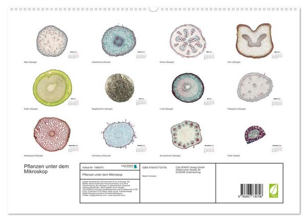 Produktbild: Pflanzen unter dem Mikroskop (hochwertiger Premium Wandkalender 2026 DIN A2 quer), Kunstdruck in Hochglanz