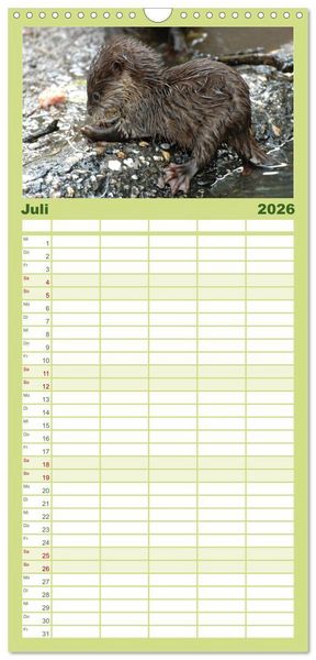 Produktbild: Familienplaner 2026 - Kleine Schelme - Tierbabys mit 5 Spalten (Wandkalender, 21 x 45 cm) CALVENDO