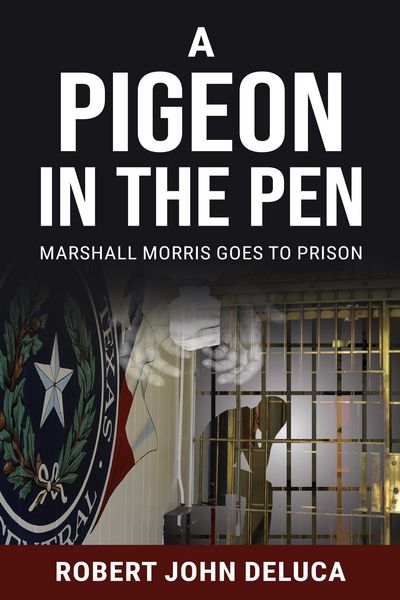 Produktbild: A Pigeon in the Pen (Marshall Morris is at it Again, #1)