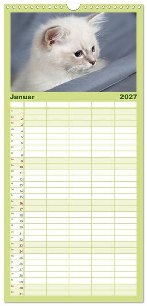 Produktbild: Familienplaner 2027 - Ragdoll Kitten mit 5 Spalten (Wandkalender, 21 x 45 cm) CALVENDO