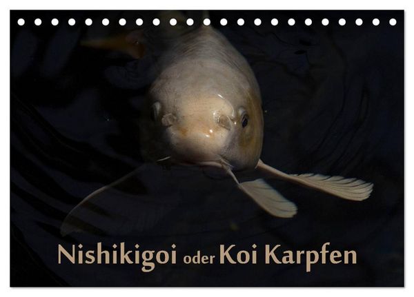 Produktbild: Nishikigoi oder Koi Karpfen (Tischkalender 2026 DIN A5 quer), CALVENDO Monatskalender