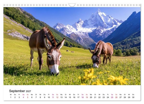 Produktbild: Esel - neugierige Typen (Wandkalender 2027 DIN A3 quer), CALVENDO Monatskalender