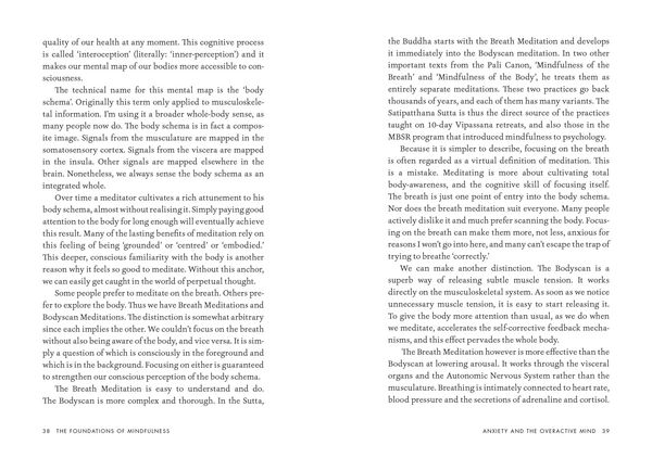 Produktbild: The Foundations of Mindfulness