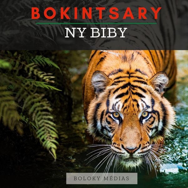Produktbild: Bokintsary - Ny biby