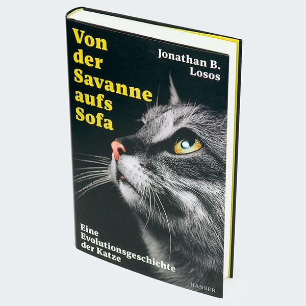 Produktbild: Von der Savanne aufs Sofa