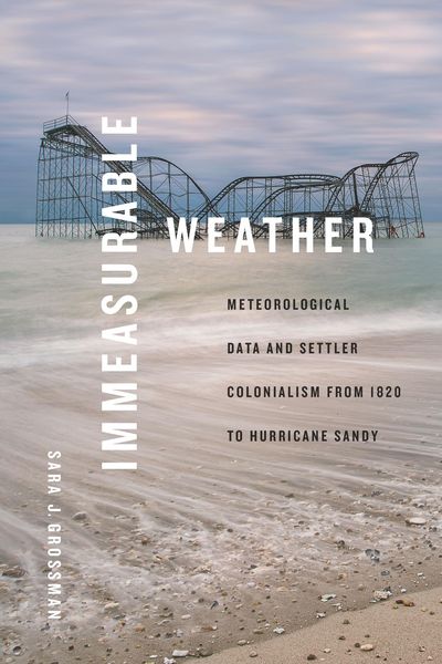 Produktbild: Immeasurable Weather