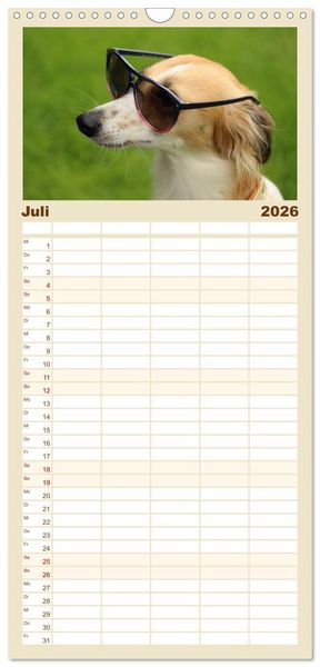 Produktbild: Familienplaner 2026 - Der Silken Windsprite - ein Seelenhund mit 5 Spalten (Wandkalender, 21 x 45 cm) CALVENDO
