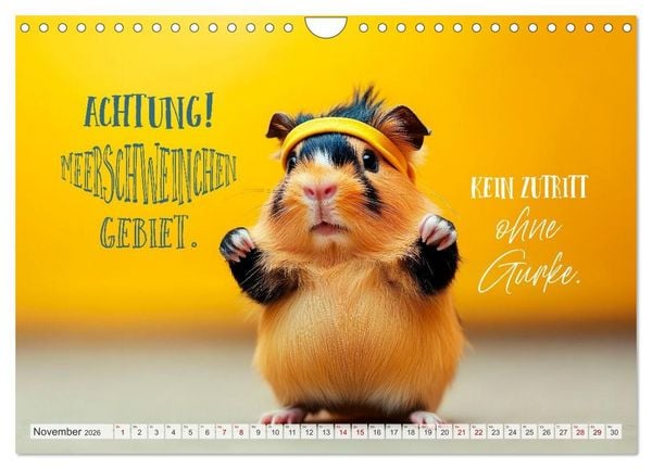 Produktbild: Meerschweinchen LUSTIG DURCHS JAHR (Wandkalender 2026 DIN A4 quer), CALVENDO Monatskalender