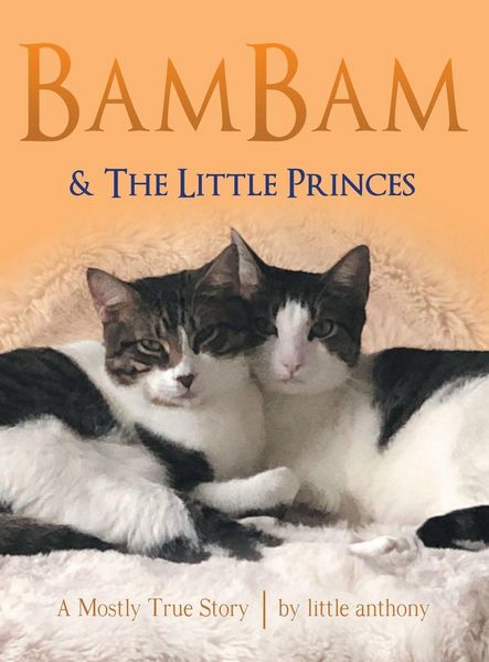 Produktbild: Bambam & the Little Princes