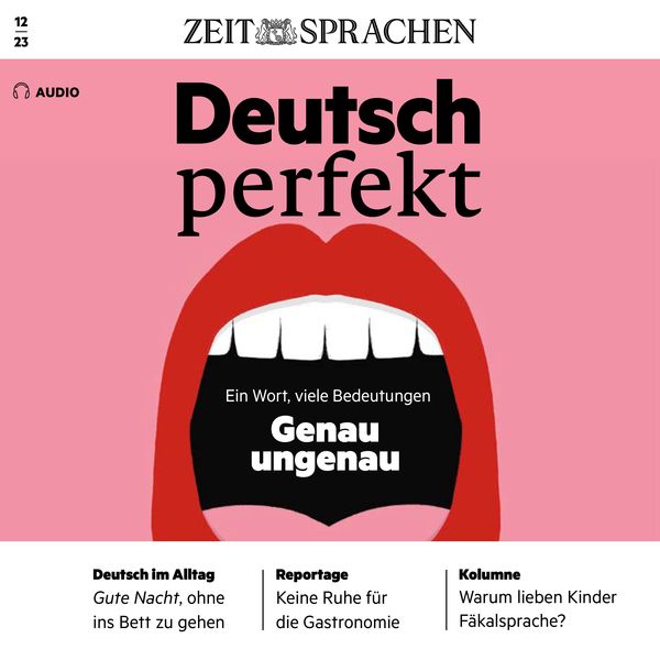 Deutsch lernen Audio –Ein Wort, viele Bedeutungen
