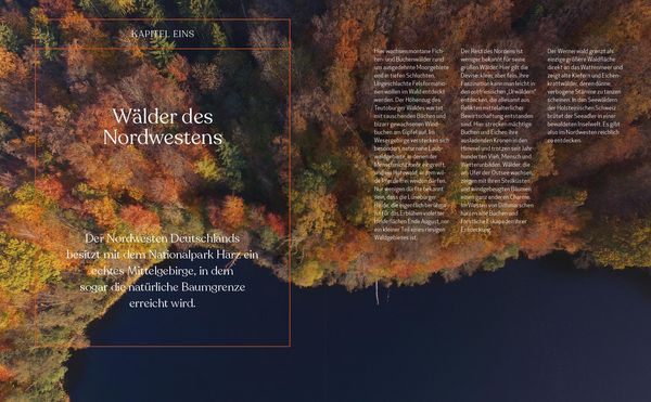 Produktbild: Wild Guide Deutsche W&auml;lder