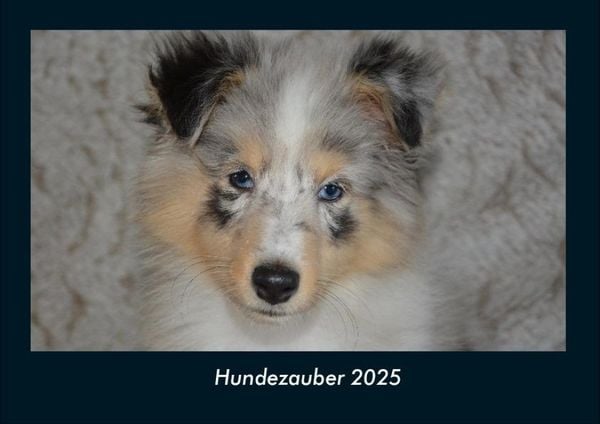 Produktbild: Hundezauber 2025 Fotokalender DIN A4