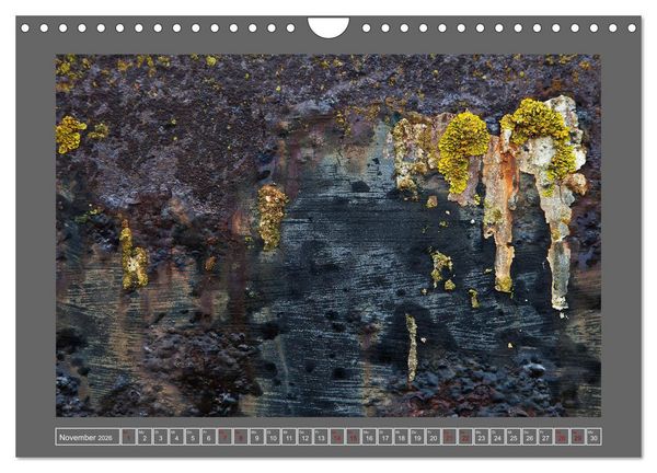 Produktbild: Rost - &Auml;sthetik der Verg&auml;nglichkeit (Wandkalender 2026 DIN A4 quer), CALVENDO Monatskalender