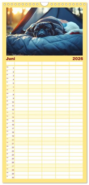 Produktbild: Familienplaner 2026 - Kleine Helden - eine Hommage an die Mopsrasse mit 5 Spalten (Wandkalender, 21 x 45 cm) CALVENDO