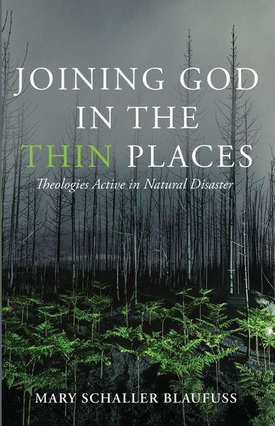Produktbild: Joining God in the Thin Places
