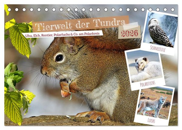Tierwelt der Tundra (Tischkalender 2026 DIN A5 quer), CALVENDO Monatskalender