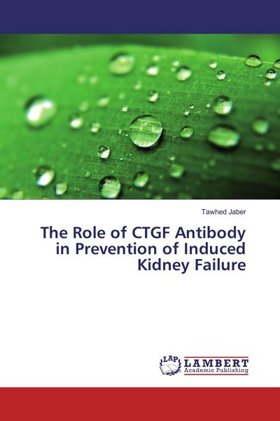 Produktbild: The Role of CTGF Antibody in Prevention of Induced Kidney Failure