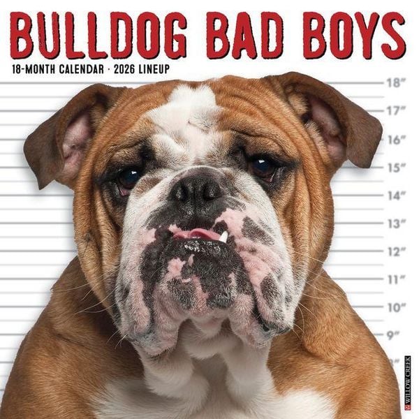 Produktbild: Bulldog Bad Boys 2026 Wall Calendar
