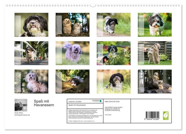 Produktbild: Spa&szlig; mit Havanesern (hochwertiger Premium Wandkalender 2026 DIN A2 quer), Kunstdruck in Hochglanz