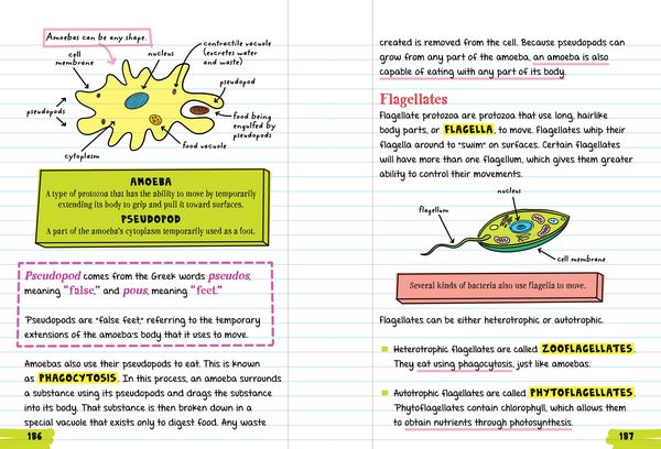 Produktbild: Everything You Need to Ace Biology in One Big Fat Notebook