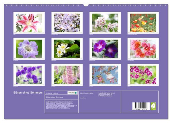 Produktbild: Bl&uuml;ten eines Sommers (hochwertiger Premium Wandkalender 2026 DIN A2 quer), Kunstdruck in Hochglanz