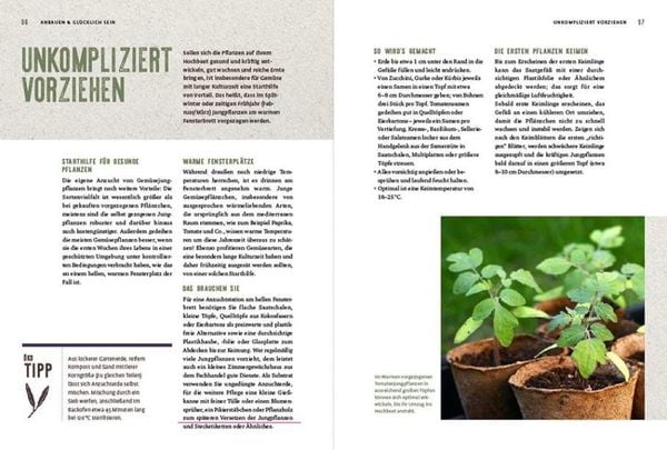 Produktbild: Das geniale Hochbeetbuch